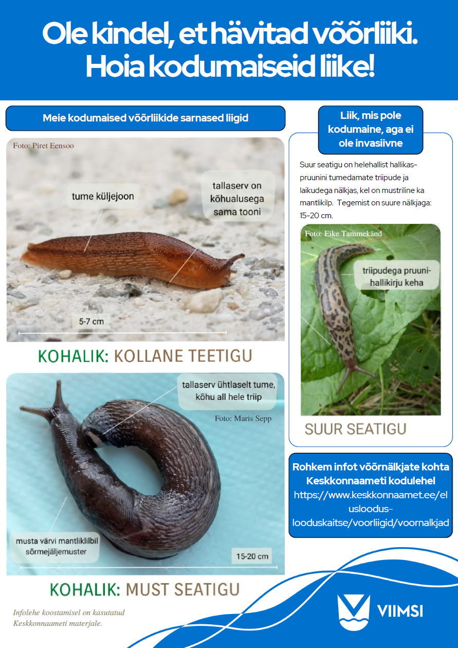 Võõrnälkjad, hsipaania teeteod