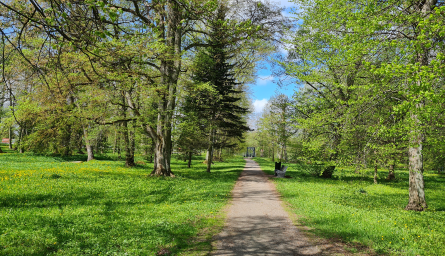 Mõisa park