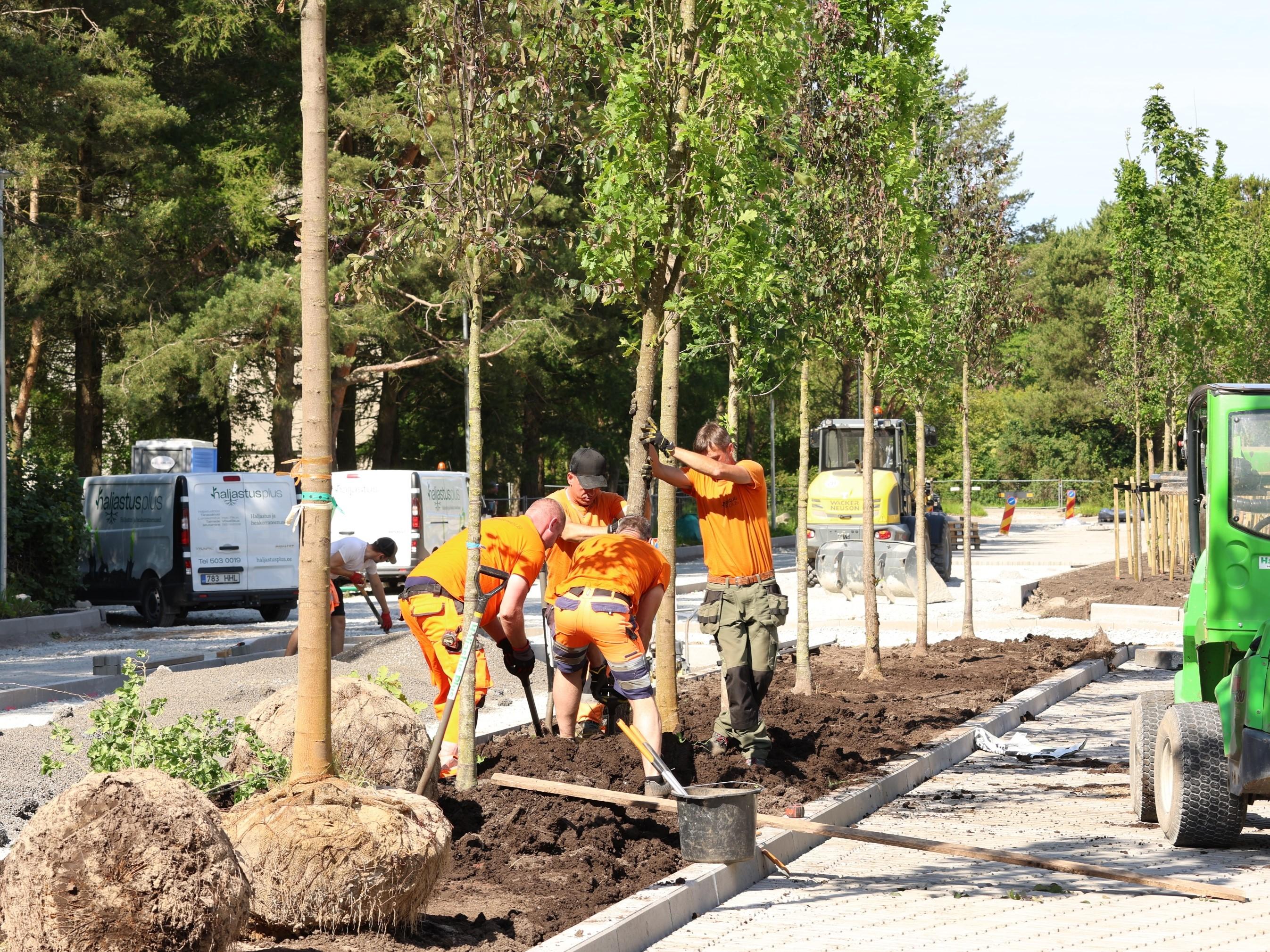 Mereranna tee ja sealse taristu rekonstrueerimine edeneb