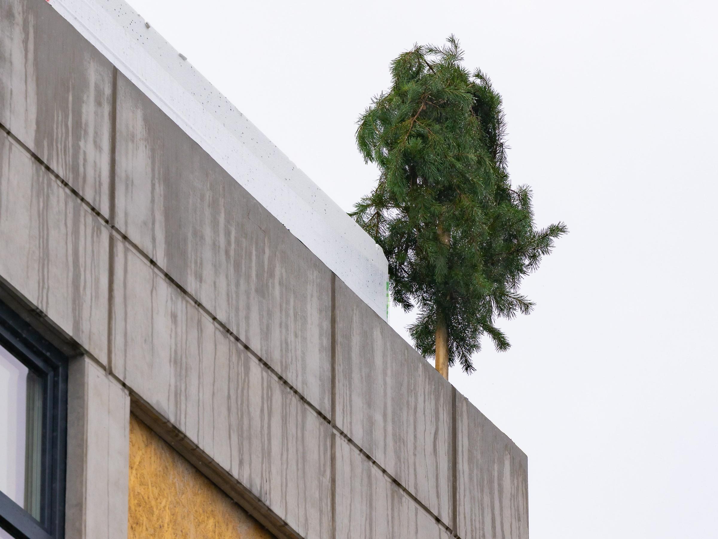 Haabneeme kool juurdeehitus sarikapidu