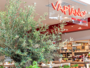 vapiano